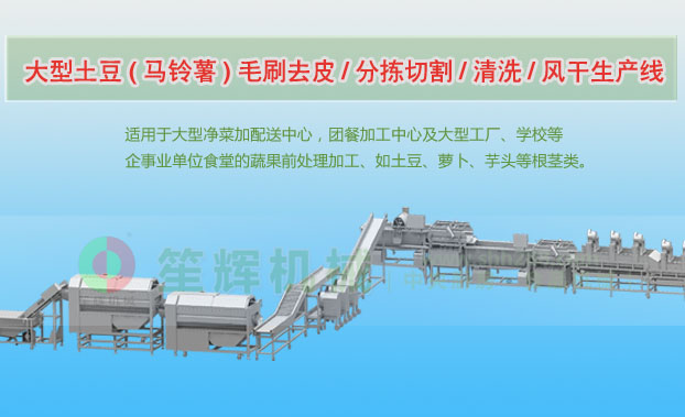 灵山连续式土豆去皮清洗切割风干生产线